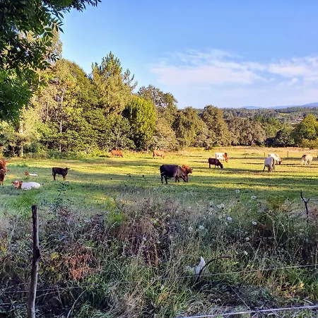 A Casa Do Lado メリーデ