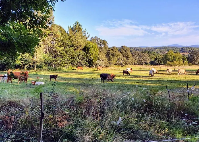 A Casa Do Lado Melide